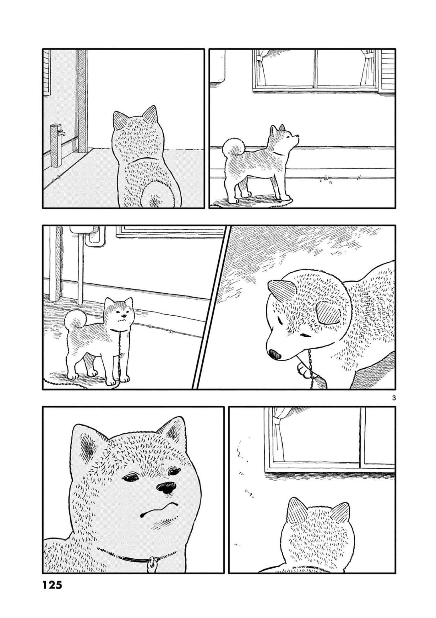 第 4 卷 第 126 页