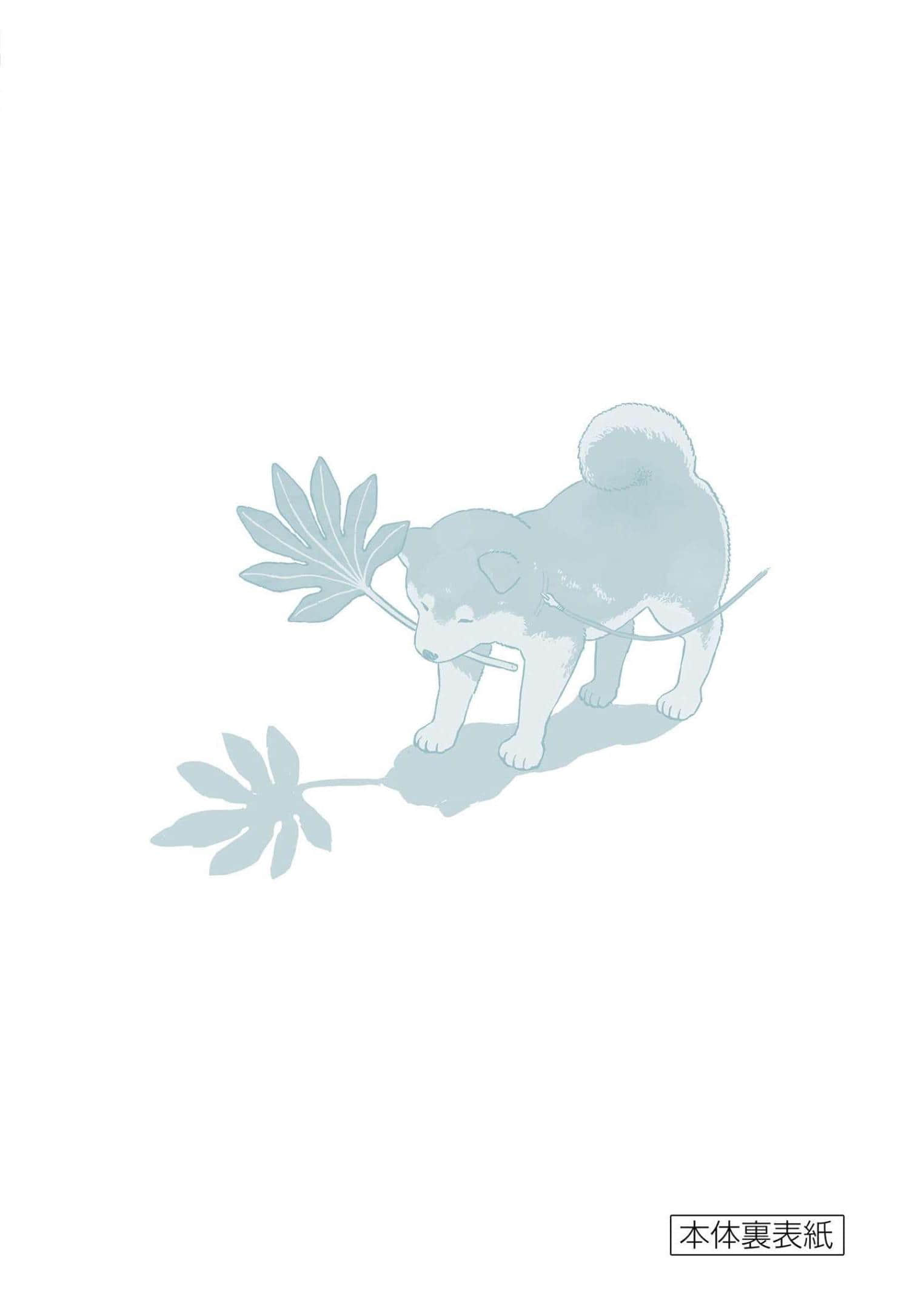 第 4 卷 第 164 页