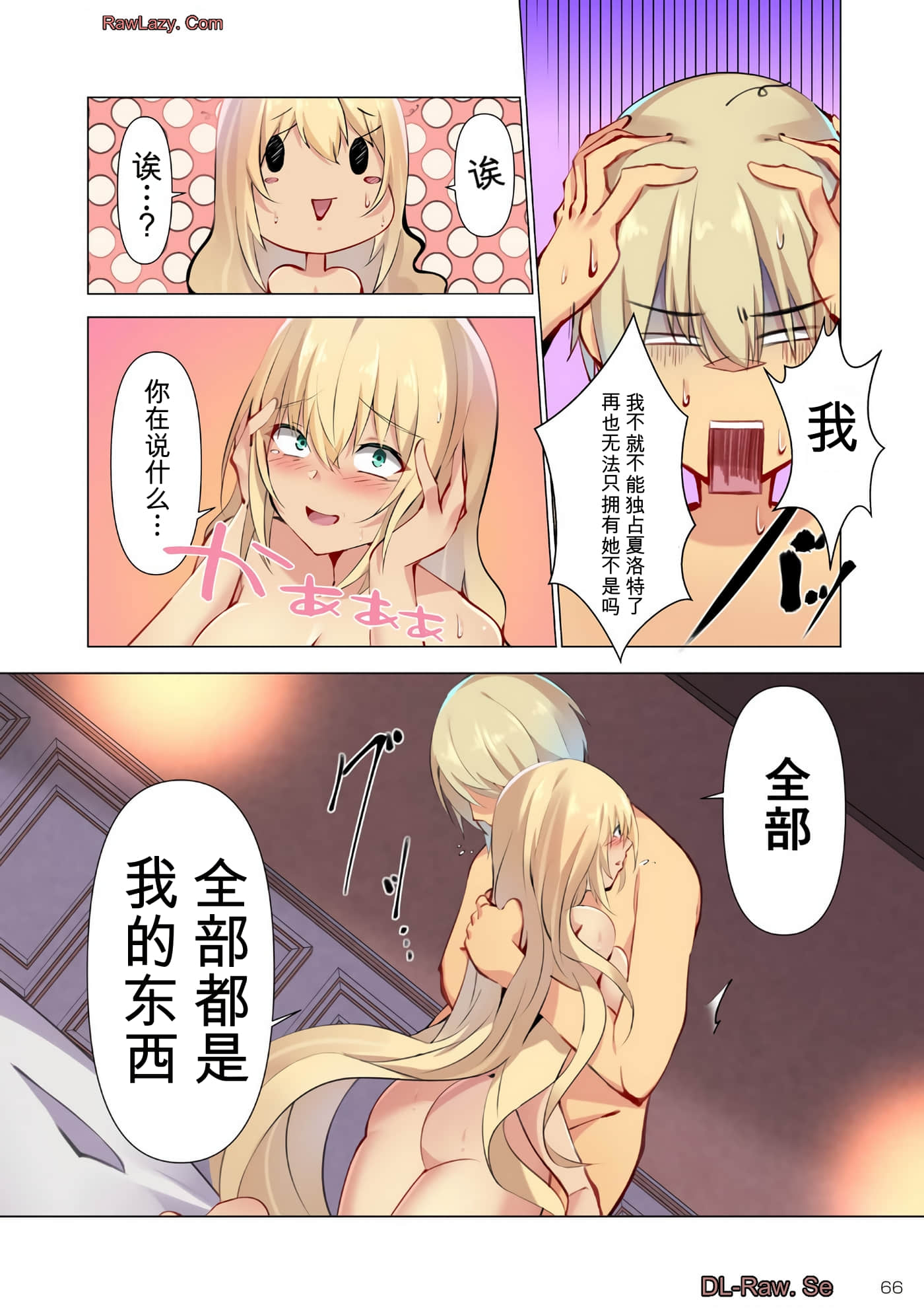 第 66 页