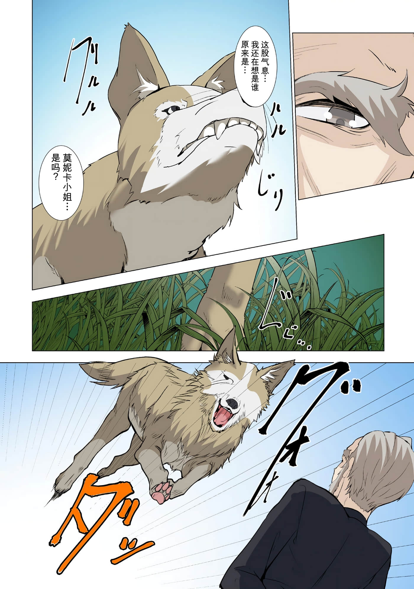 第 160 页