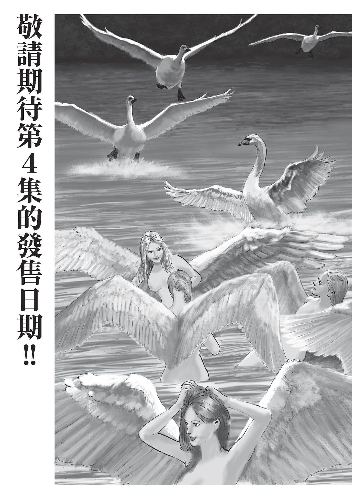 第 3 卷 第 204 页
