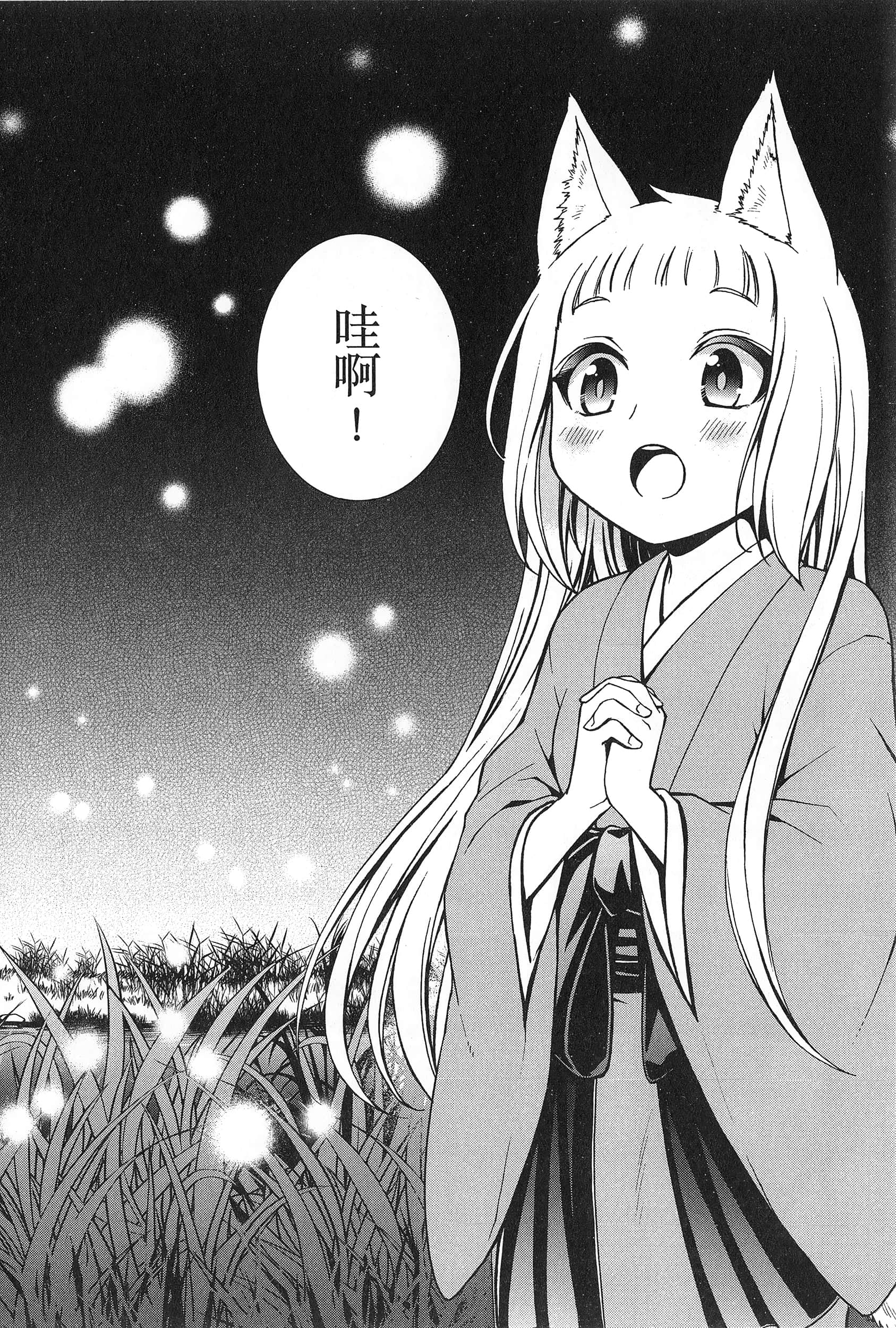 第 2 卷 第 56 页