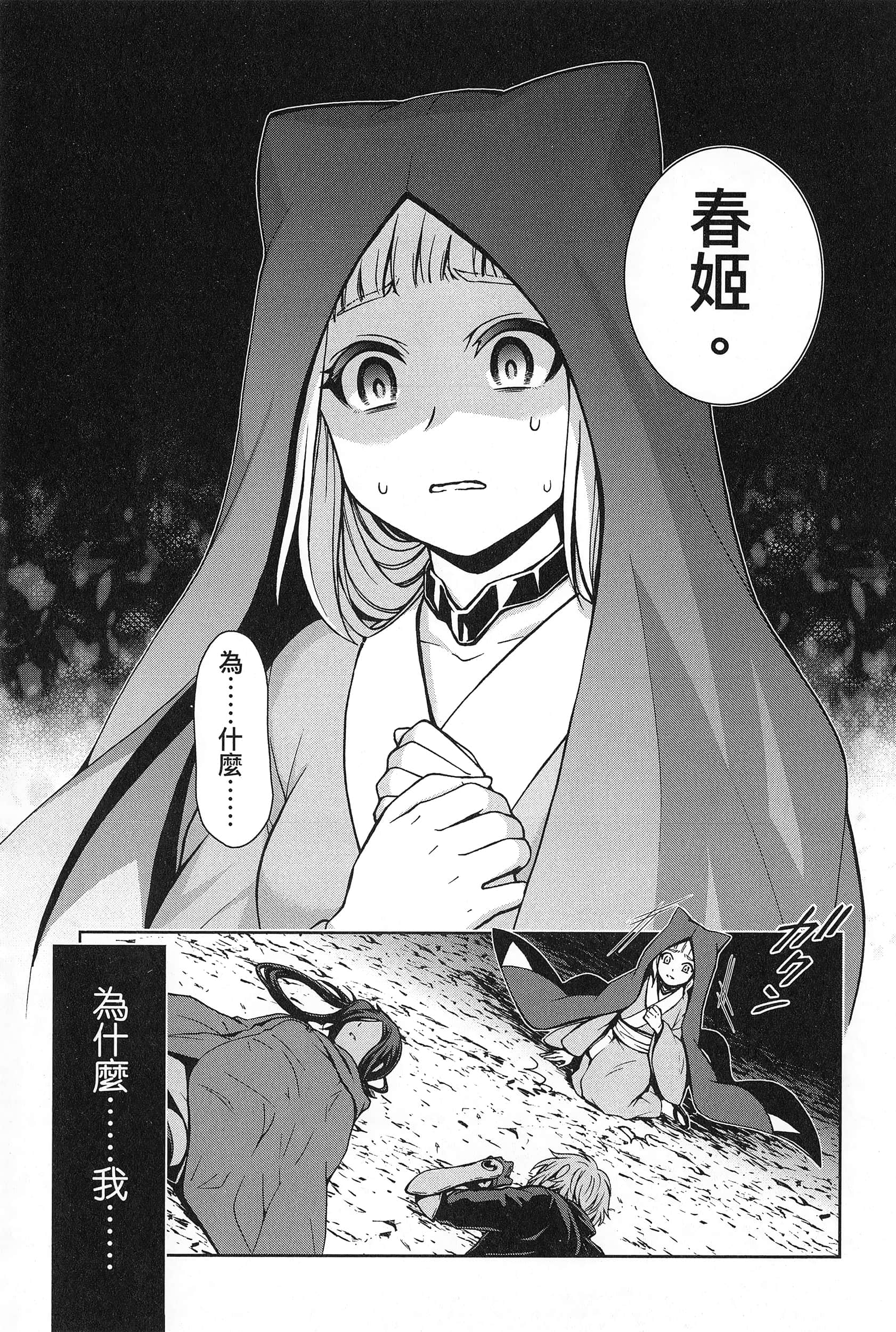 第 2 卷 第 161 页
