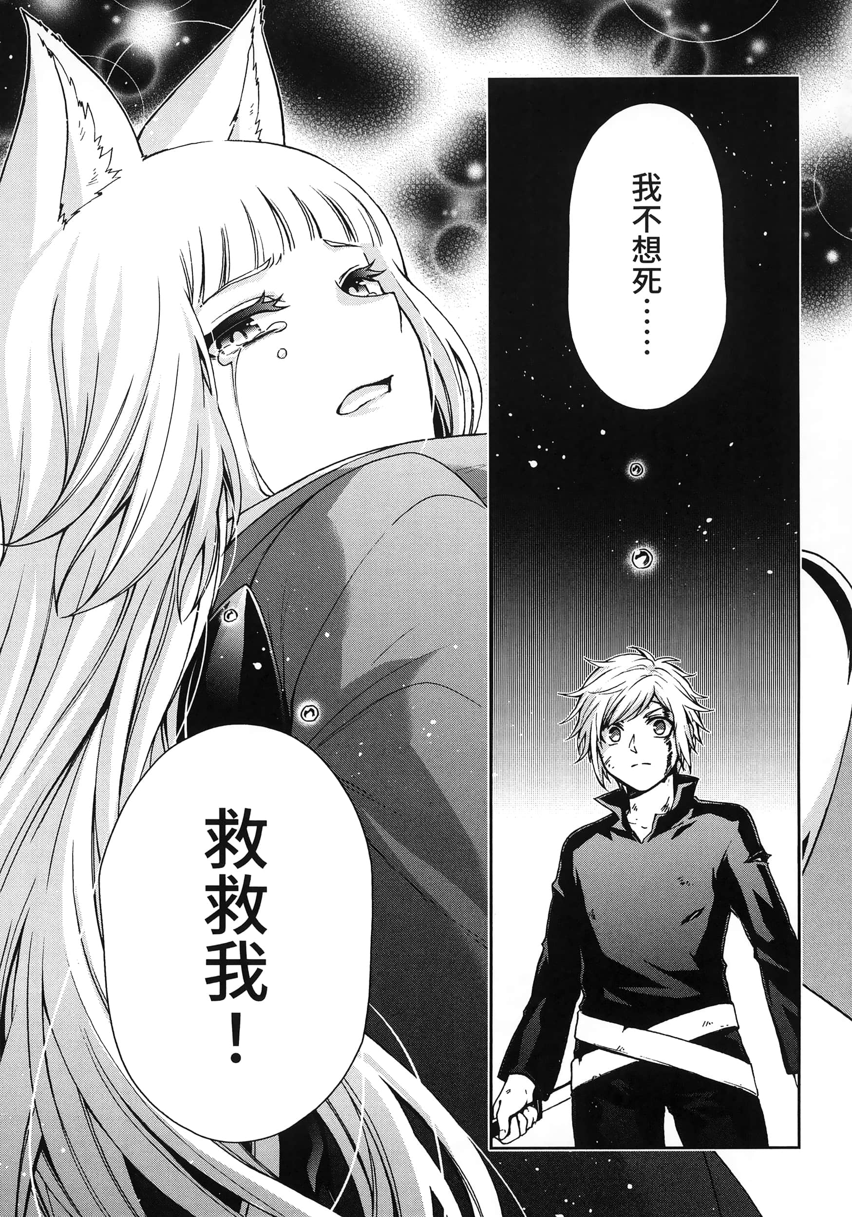 第 4 卷 第 107 页
